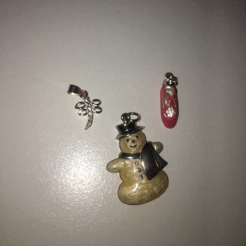 Charm Assortment